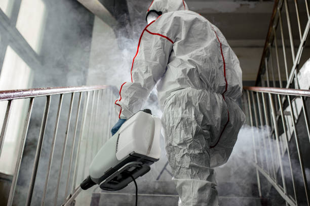 Best Forensic Mold Investigation  in Tehaleh, WA